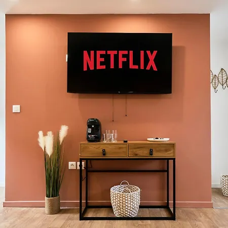 Apartmán Ng Prestige - Lille L Barbieux L Miln - Netflix - Wifi Roubaix